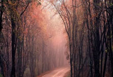 欧联8强出炉：热刺vs法兰克福 流浪者VS毕巴 里昂vs曼联.