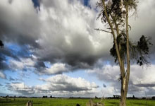 星空体育官网：托纳利：我已经不再用手机看无关信息，因此不会.