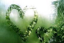 星空体育官网：德国羽毛球公开赛：骆建佑杨佳敏双双晋级.